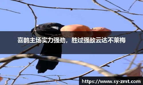 永利集团304am登录