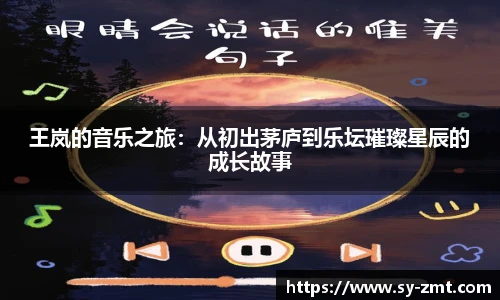 王岚的音乐之旅：从初出茅庐到乐坛璀璨星辰的成长故事